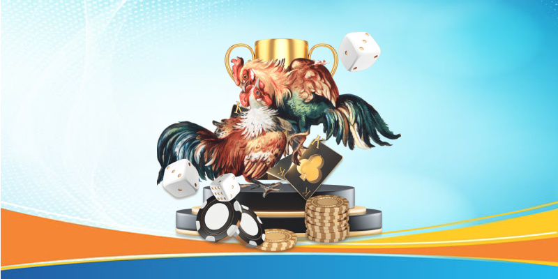 Các Loại Cược Tại Trường Gà Thomo