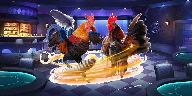 Những Lưu Ý Khi Tham Gia Trường Gà Thomo